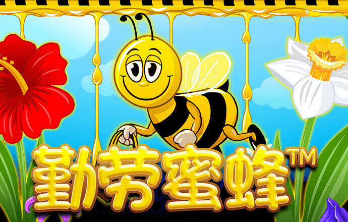 ob体育综合app下载